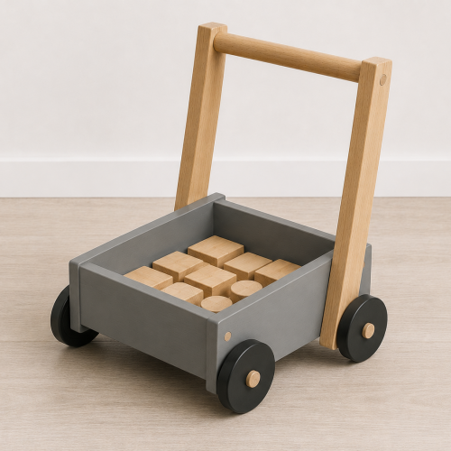 Push walker