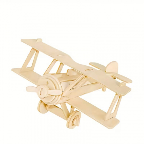 Bi-Plane